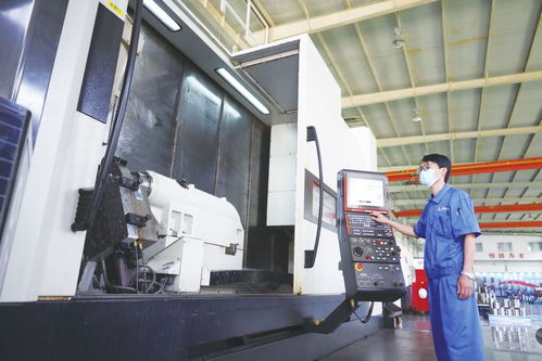 小巨人背后的成長密碼 建設(shè)工程的智慧與策略