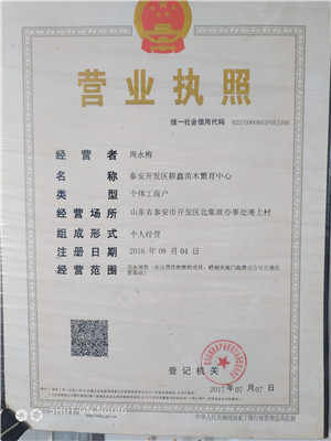 吉林煜爍苗木露天香椿苗種植基地建設(shè)工程啟動